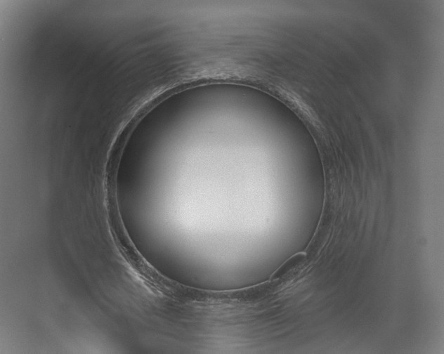 X0000073490626200607310917