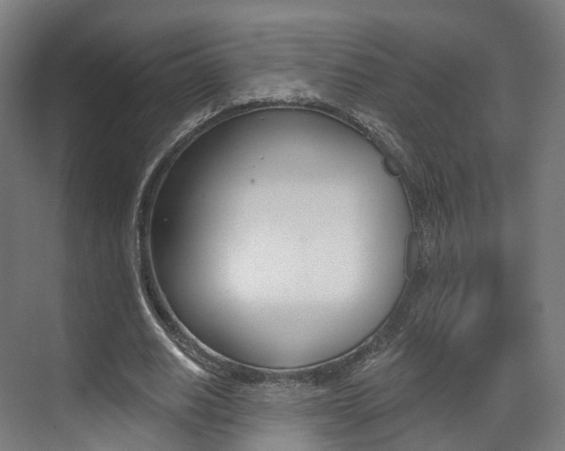 X0000073490630200607310918