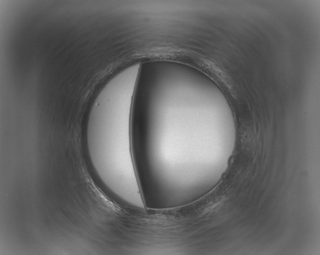 X0000073490633200607310918