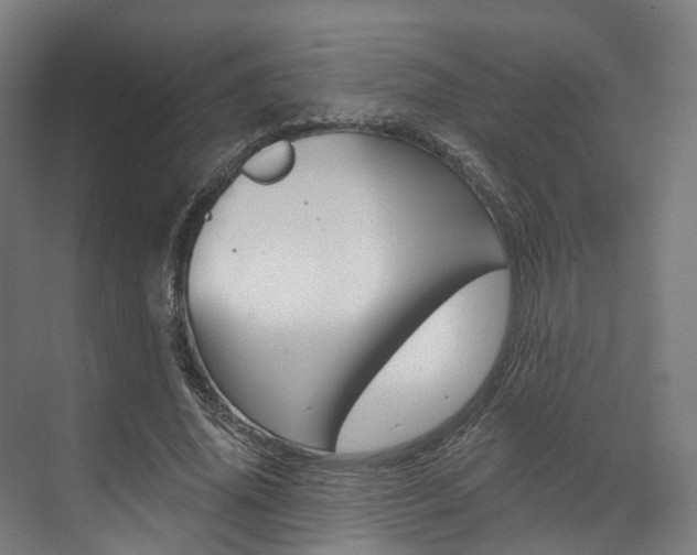 X0000073490636200607310918