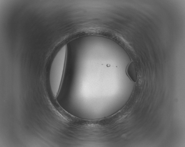 X0000073490637200607310918