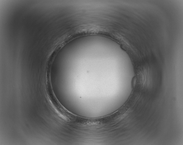 X0000073490638200607310918