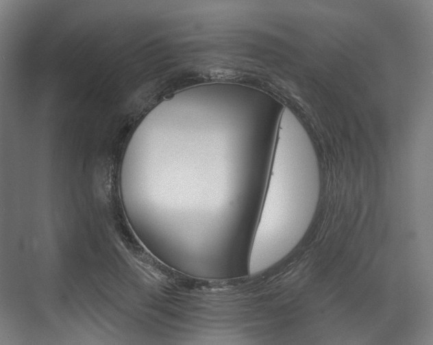 X0000073490645200607310918