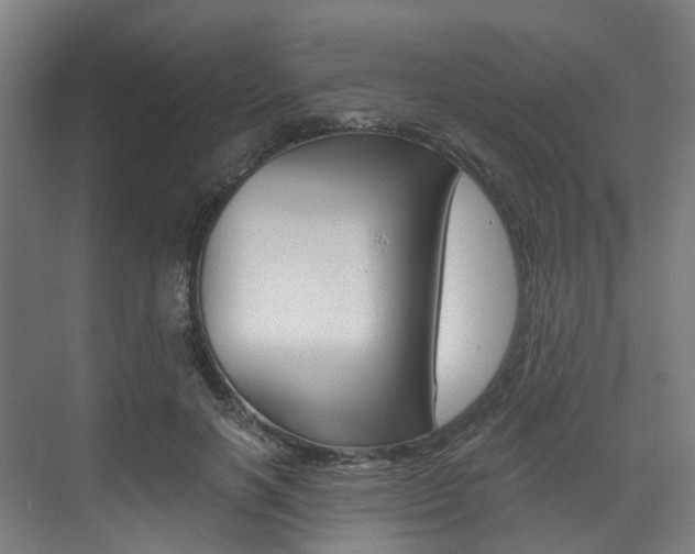 X0000073490646200607310918