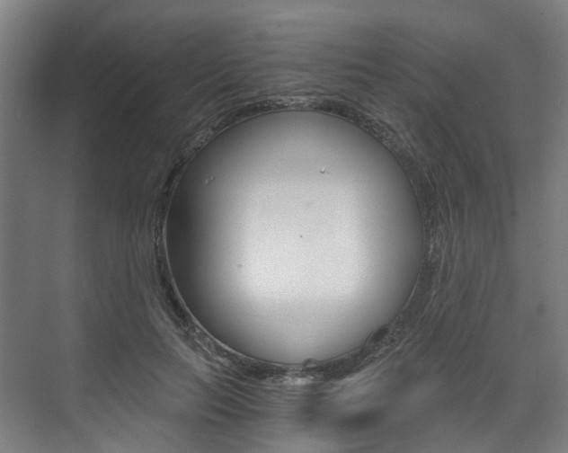 X0000073490647200607310918