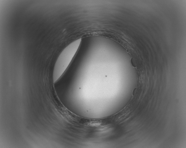 X0000073490651200607310918