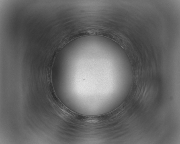 X0000073490653200607310918
