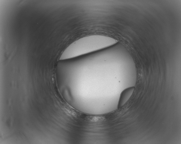 X0000073490663200607310918