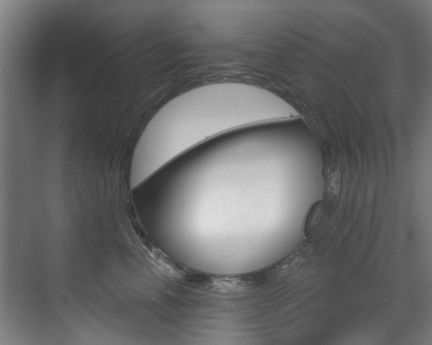 X0000073490666200607310918