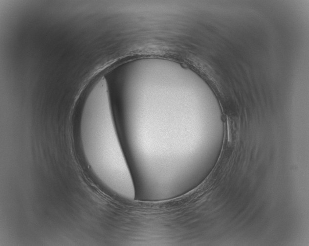 X0000073490675200607310917
