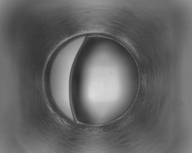 X0000073490676200607310917