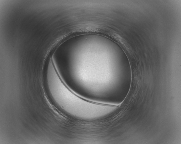 X0000073490677200607310917