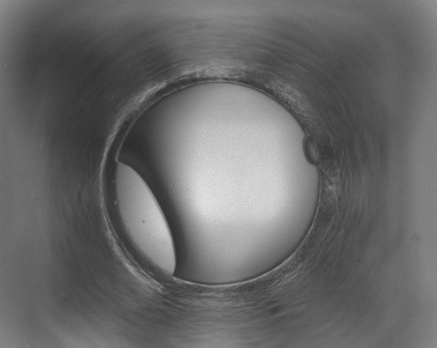 X0000073490678200607310917