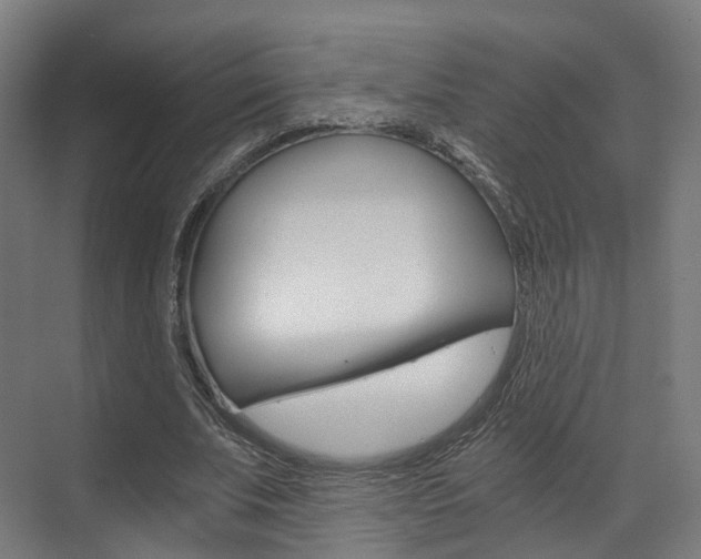 X0000073490679200607310917