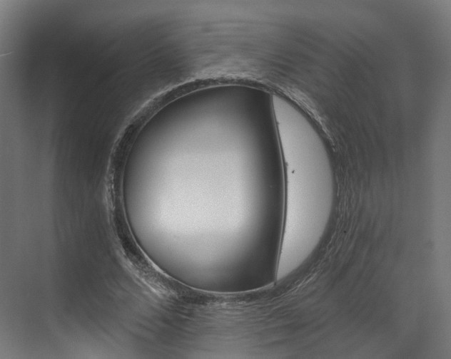 X0000073490680200607310917