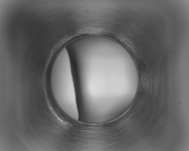 X0000073490682200607310917