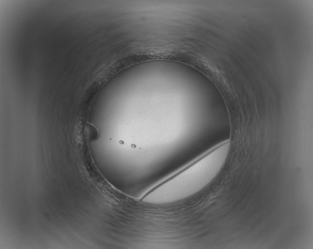 X0000073490689200607310917