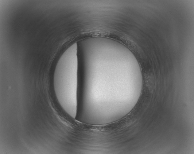 X0000073490690200607310917