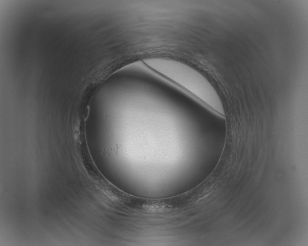 X0000073490693200607310917