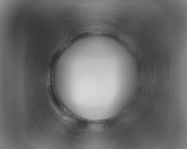 X0000073490694200607310917