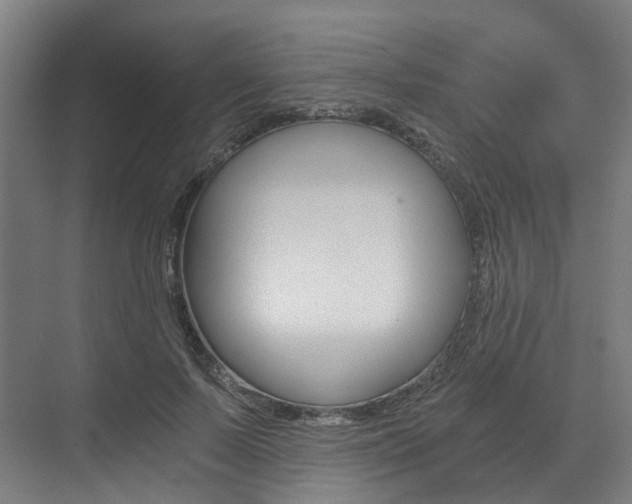 X0000073490695200607310917