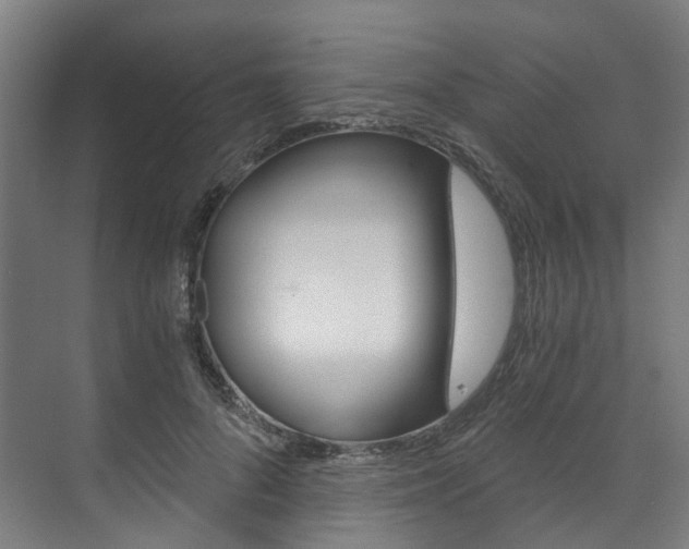 X0000073490696200607310917
