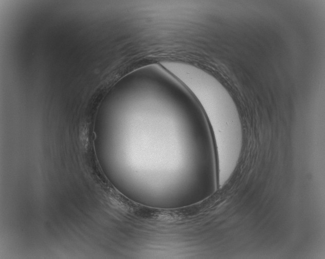 X0000073490697200607310917