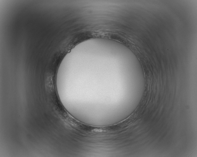 X0000073490699200607310917