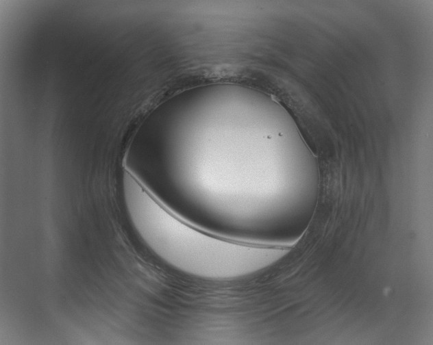 X0000073490700200607310917