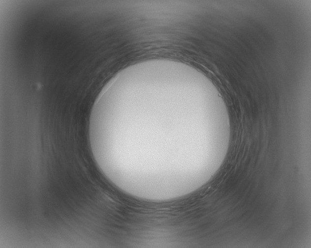 X0000073490701200607310917