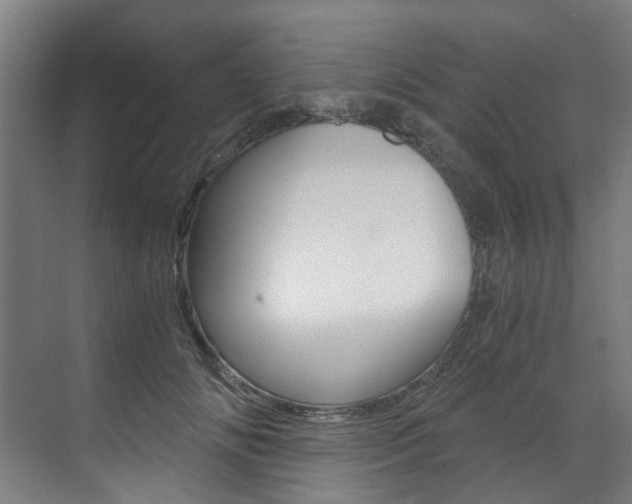 X0000073490702200607310917