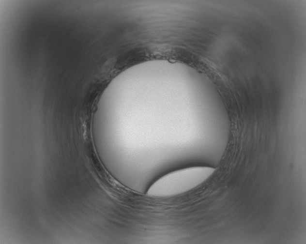 X0000073490703200607310917