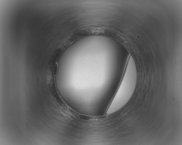 X0000073490704200607310917