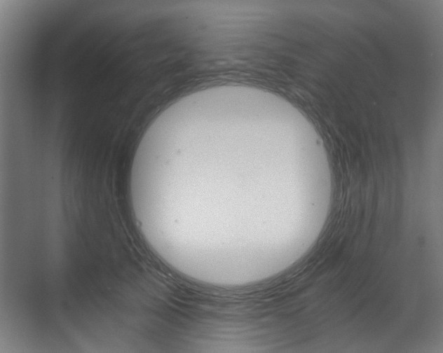 X0000073490705200607310917