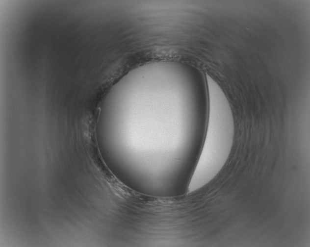 X0000073490712200607310917