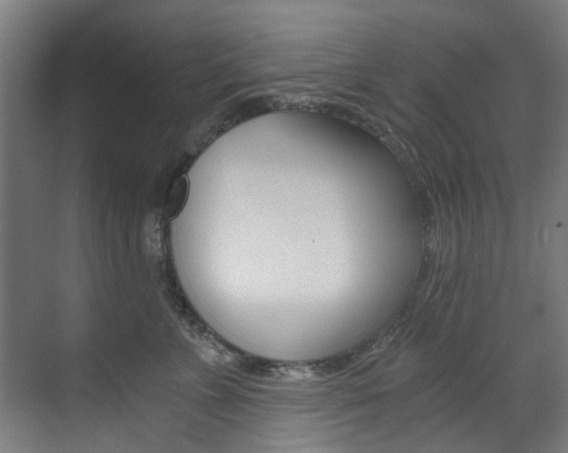 X0000073490715200607310917
