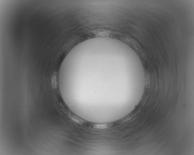 X0000073490717200607310917