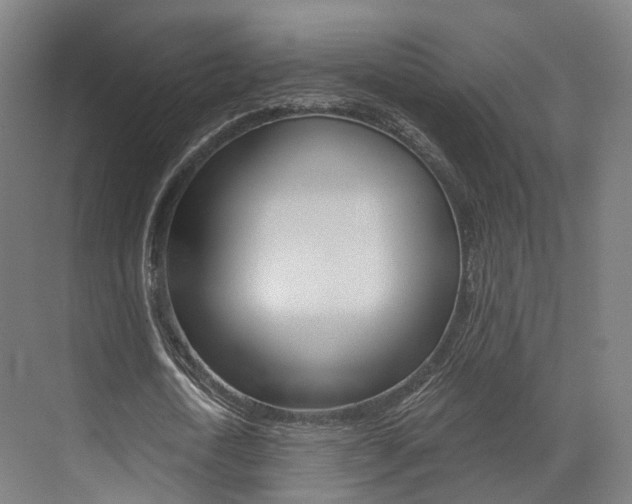 X0000073490722200607310916