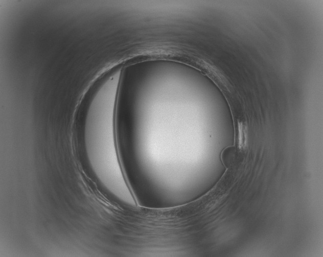 X0000073490723200607310916