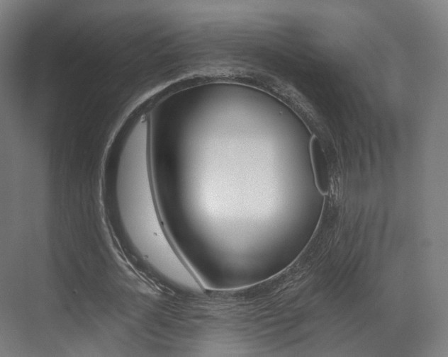 X0000073490724200607310916