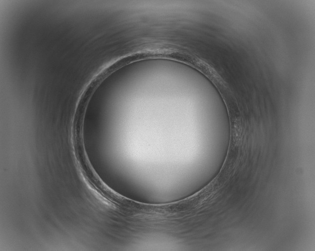 X0000073490726200607310916