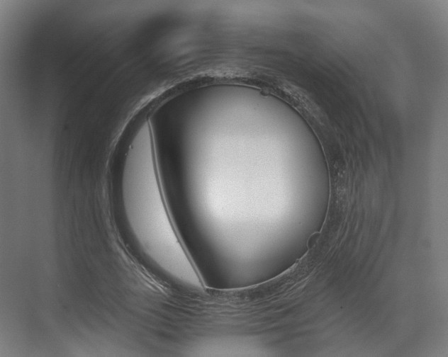 X0000073490727200607310916