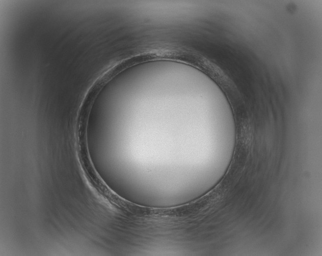 X0000073490730200607310916