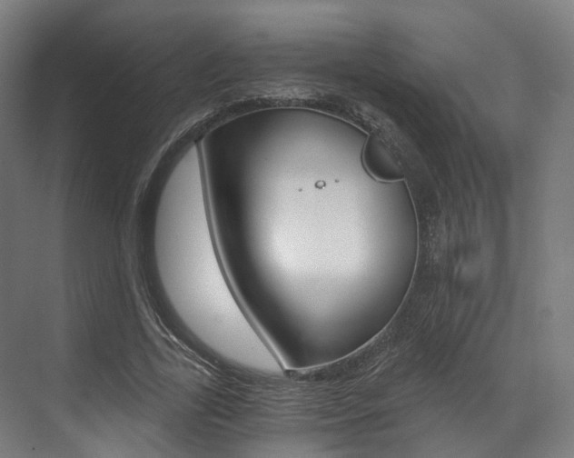 X0000073490731200607310916