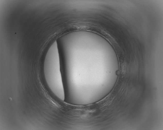 X0000073490733200607310916