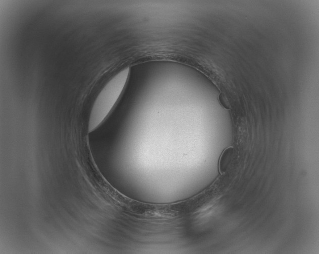 X0000073490739200607310916
