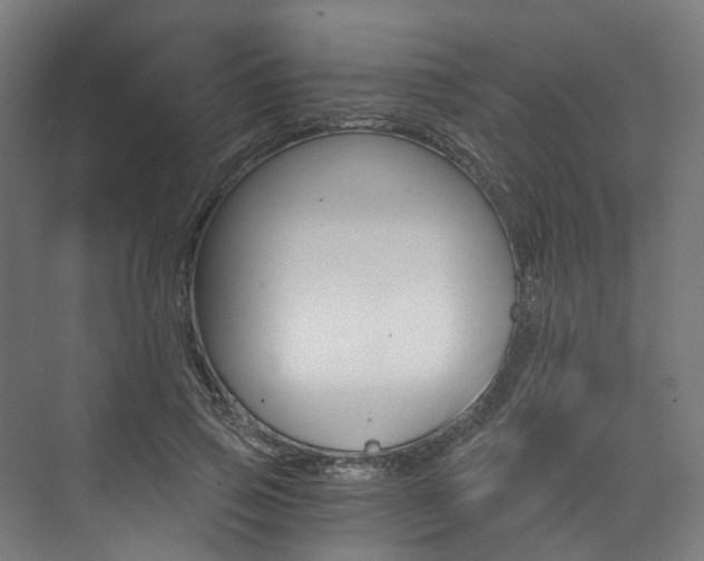 X0000073490741200607310916
