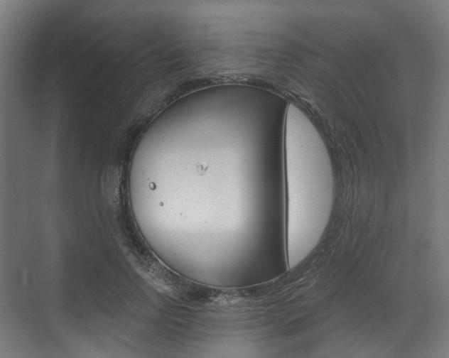X0000073490742200607310916