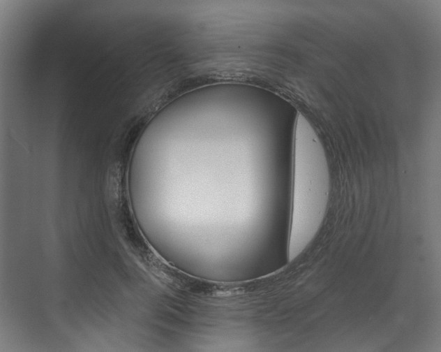 X0000073490744200607310916