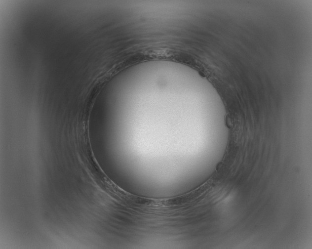 X0000073490747200607310916